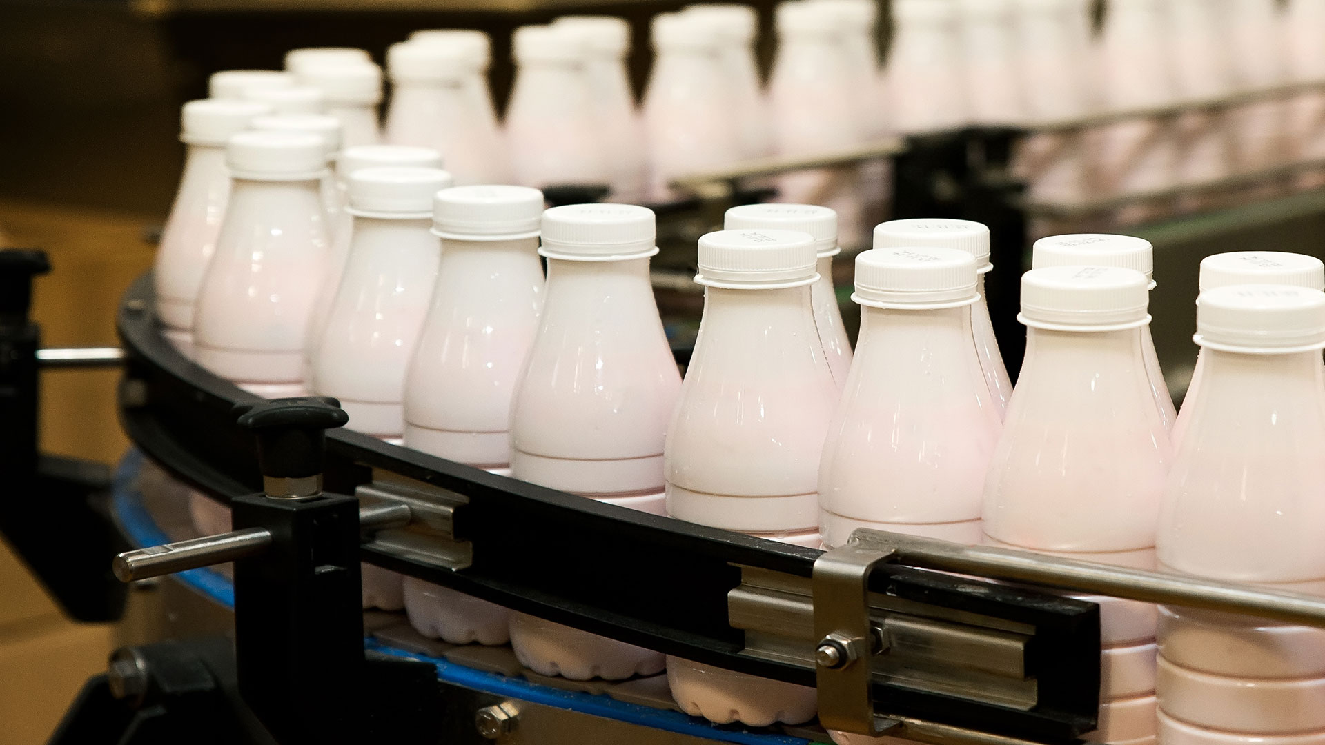Dairy processing
